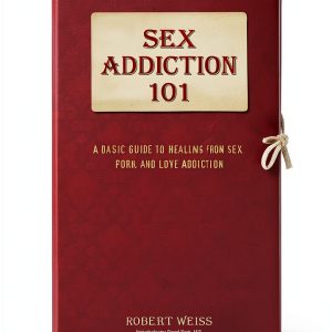 Sex Addiction 101 Recovery Guide by Health Communications-0