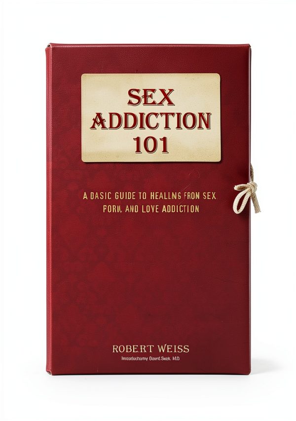 Sex Addiction 101 Recovery Guide by Health Communications-0